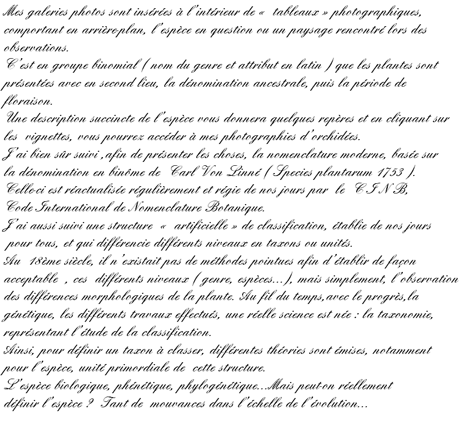 wpe366d7e1.png